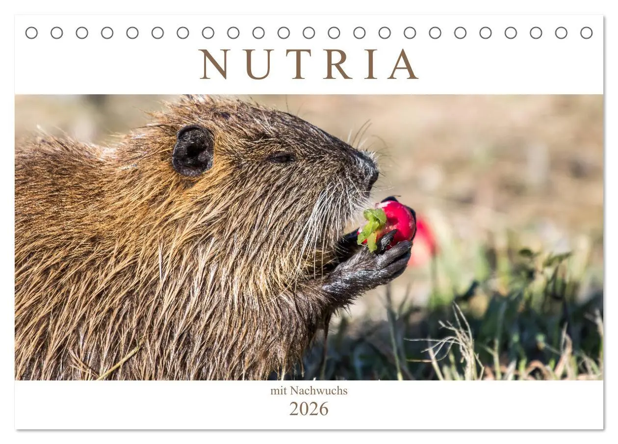 Cover: 9783457824795 | NUTRIA mit Nachwuchs (Tischkalender 2026 DIN A5 quer), CALVENDO...